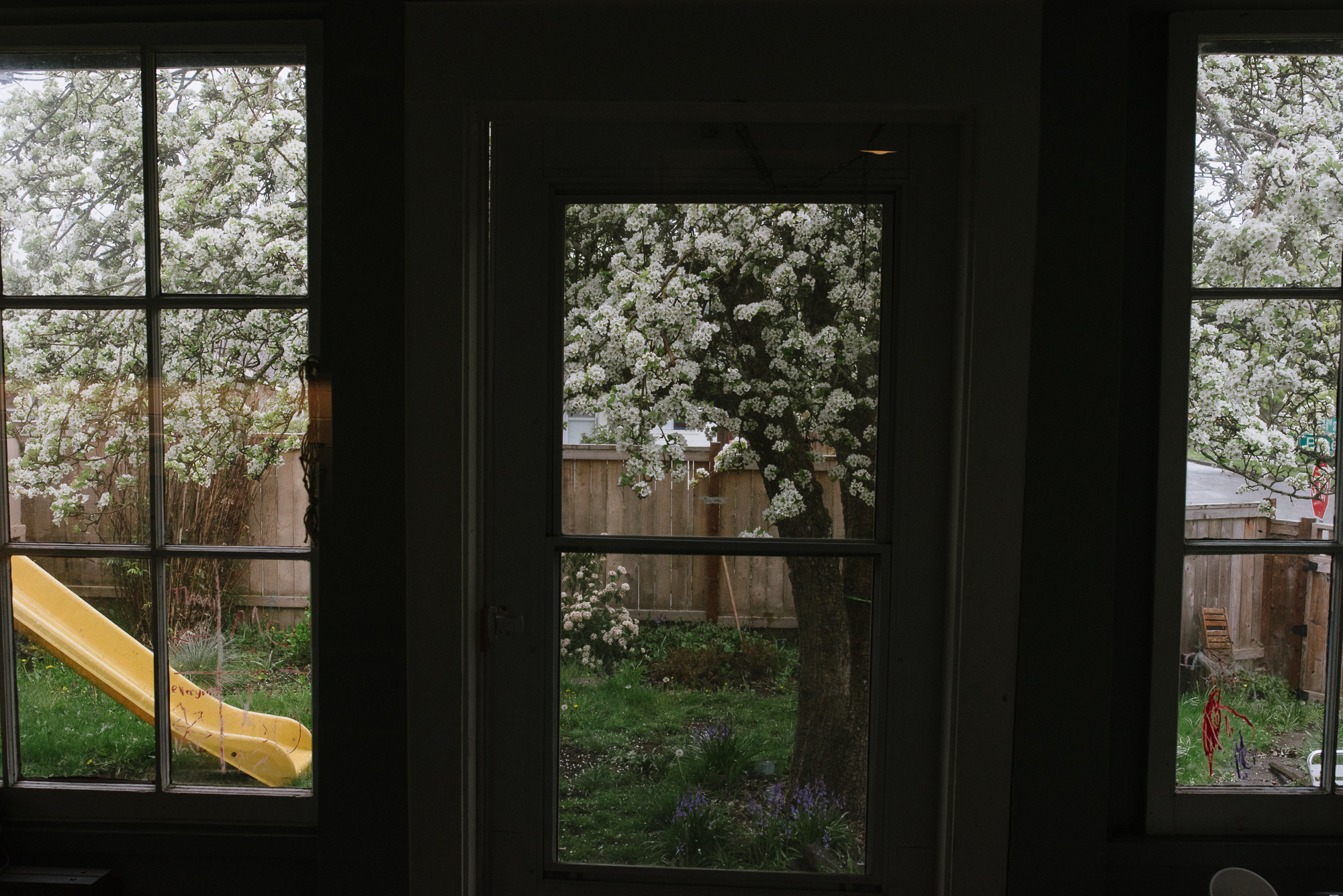 view of backyard - documentary family photography