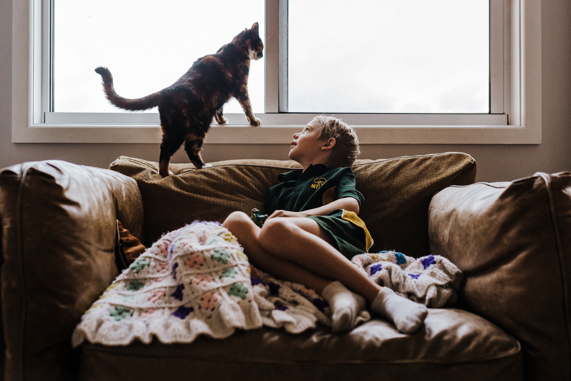 Boy looks at cat in window - documentary family photography