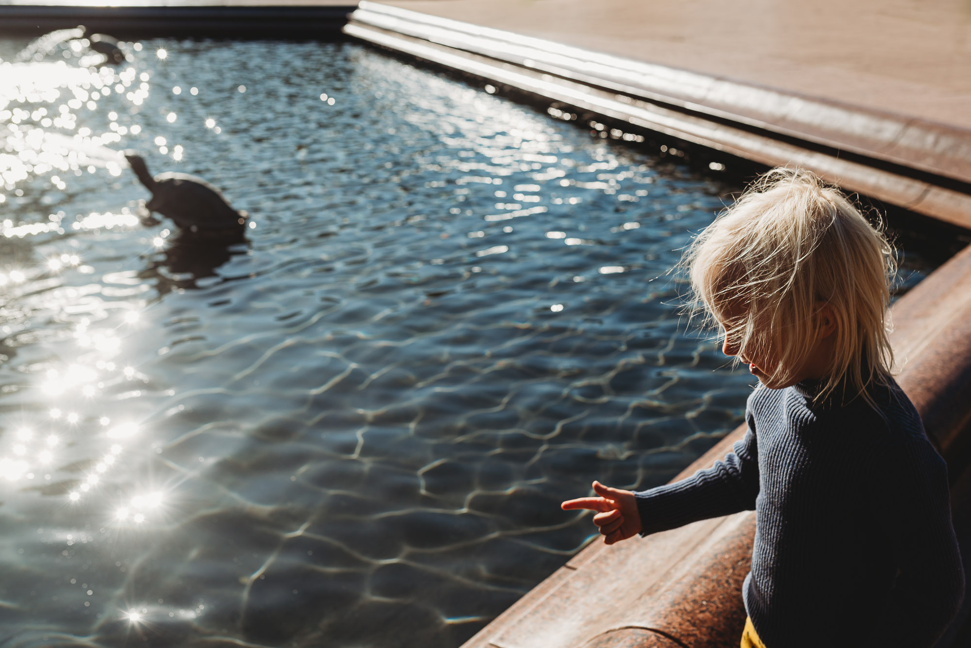 child at pool - documentary family photography