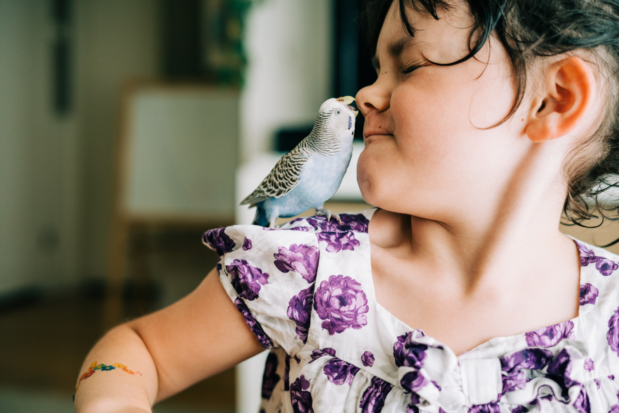 parakeet biting girl's nose - Documentary Family Photography